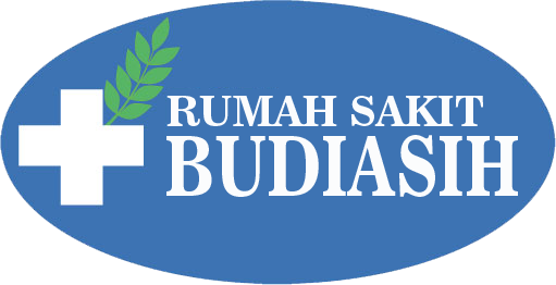 logo RS BUDIASIH PNG